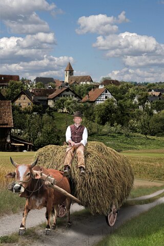 Horst Pfrommer Fotografie | Calw | Altburg | Spindlershof